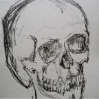 Schaedel 2